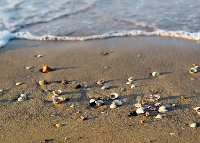 Appartamento In 54731